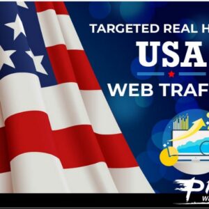 usa visitors web traffic