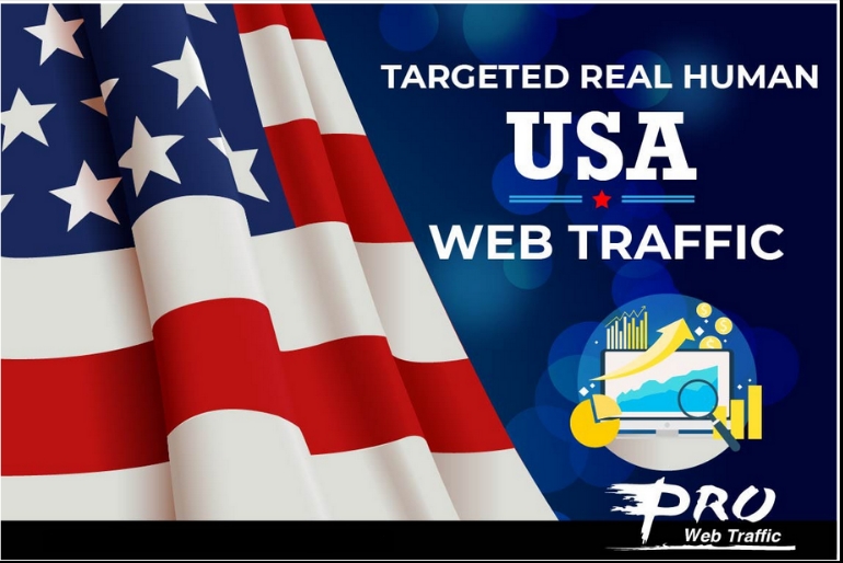 usa visitors web traffic